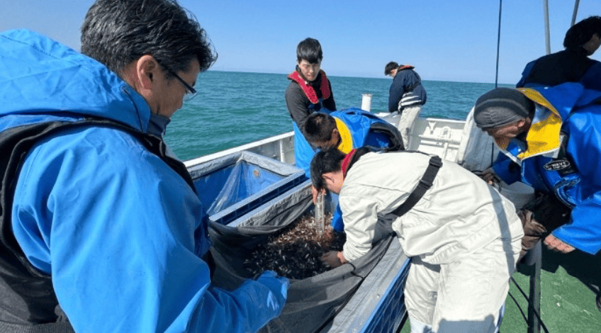 近畿大学と新潟県立海洋高校が高大連携で取り組む海づくり　育てたノドグロ稚魚約1,500尾を日本海に放流