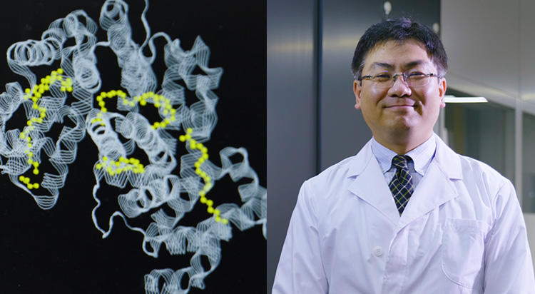 新しい発見は、しっかりとした基礎研究の土台があってこそ。熱力学で分子認識のメカニズムを解き明かす。