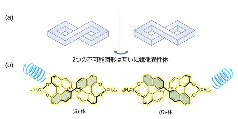 Successful development of luminophores with strong CPL due to organic molecules with trompe l'oeil-like geometryHigh expectations for polarized luminescent-type 3D display materials