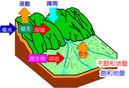 （図3）不飽和地盤を介した水収支