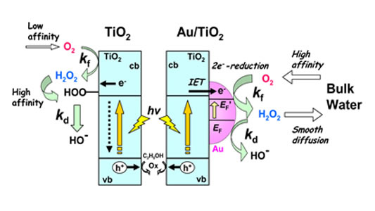 図3　Au/TiO2光触媒によるO2からのH2O2合成。IETは界面電子移動を表わす。