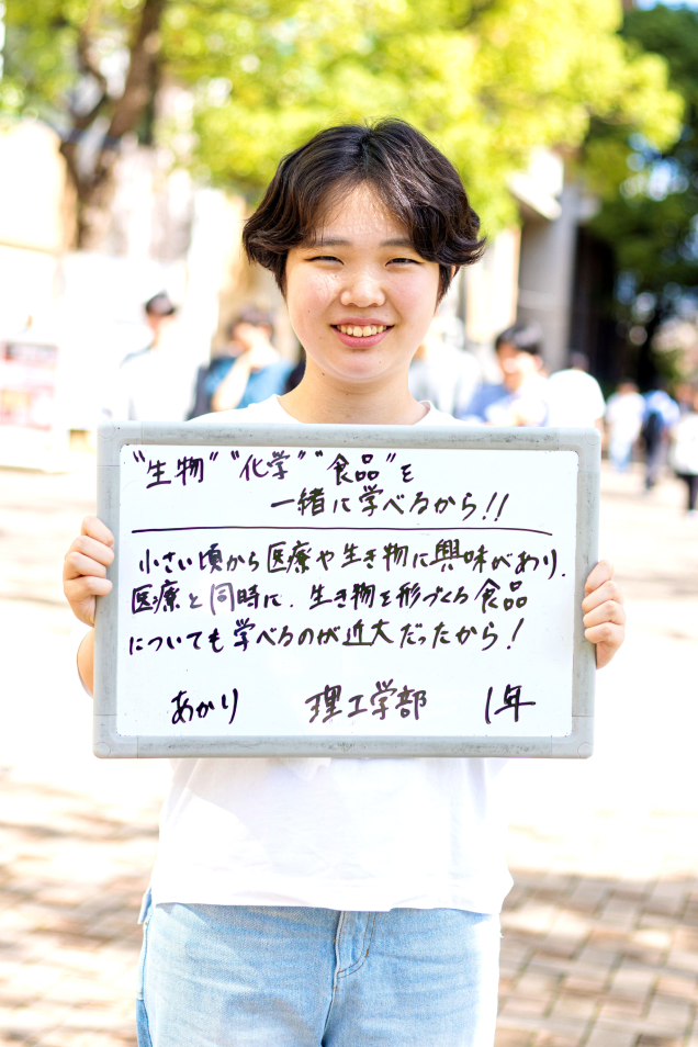 あかり