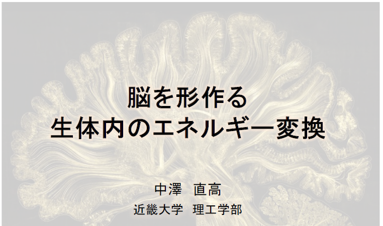 スクリーンショット 2025-06-17 121350.png