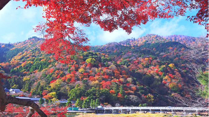 京都市